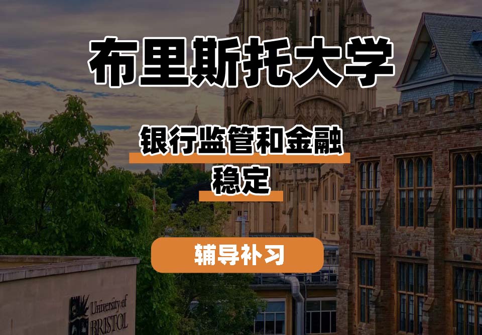 布里斯托大学Bristol布大银行监管和金融稳定辅导补习补课(一)