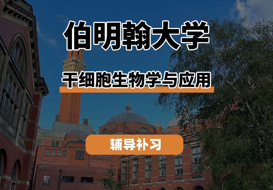 伯明翰大学UOB伯大干细胞生物学与应用辅导补习补课