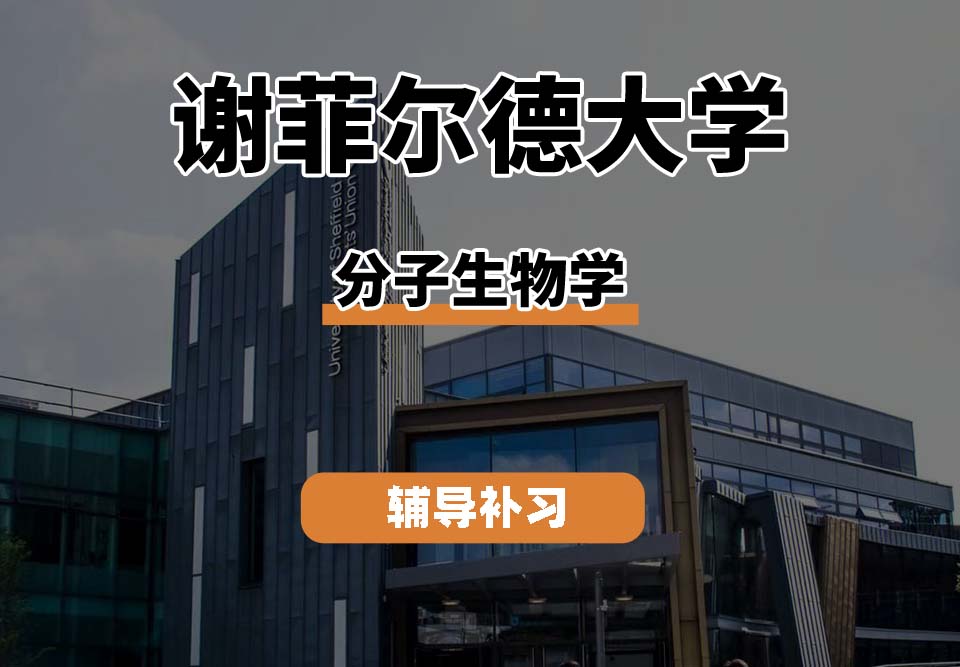 谢菲尔德大学TUoS谢大分子生物学辅导补习补课(二)