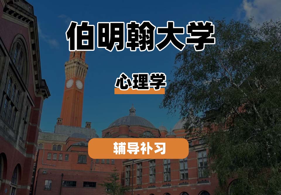 伯明翰大学UOB伯大心理学辅导补习补课(二)