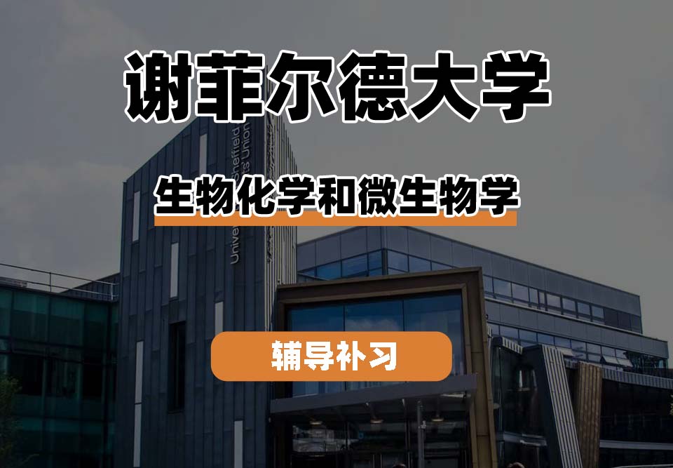 谢菲尔德大学TUoS谢大生物化学和微生物学辅导补习补课(二)
