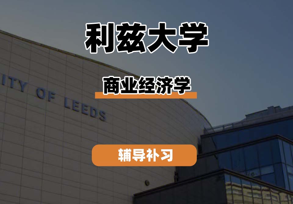 利兹大学leeds商业经济学辅导补习补课