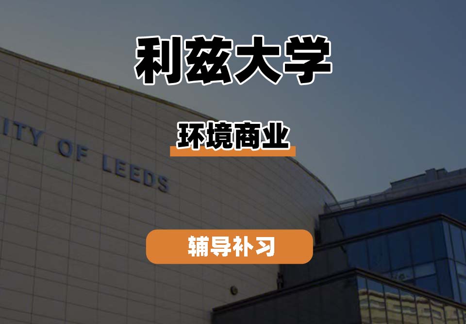 利兹大学leeds环境商业辅导补习补课(二)