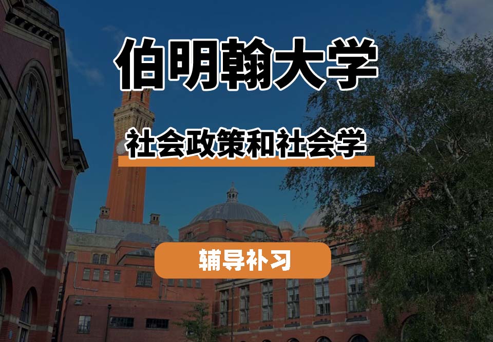 伯明翰大学UOB伯大社会政策和社会学专业辅导补习补课(三)