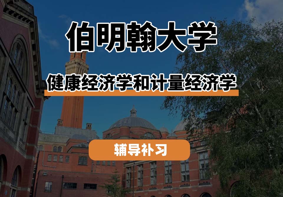 伯明翰大学UOB伯大健康经济学和计量经济学辅导补习补课