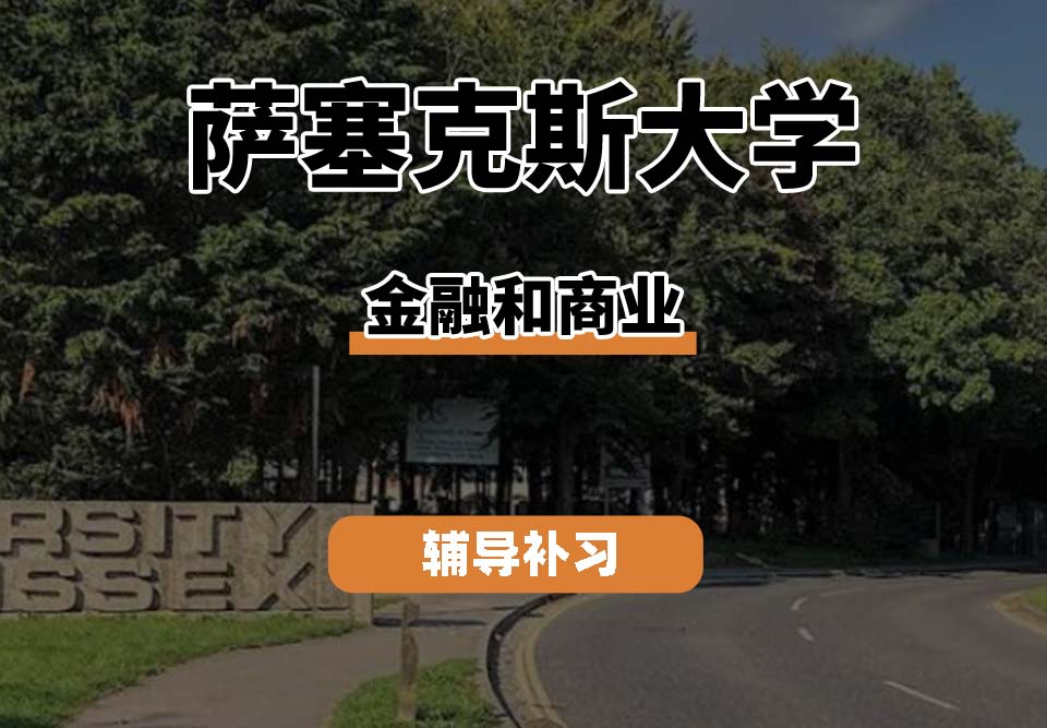 萨塞克斯大学Sussex萨大金融和商业辅导补习补课（一）