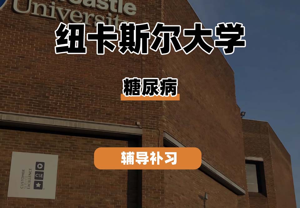 纽卡斯尔大学NCL纽大糖尿病辅导补习补课（二）