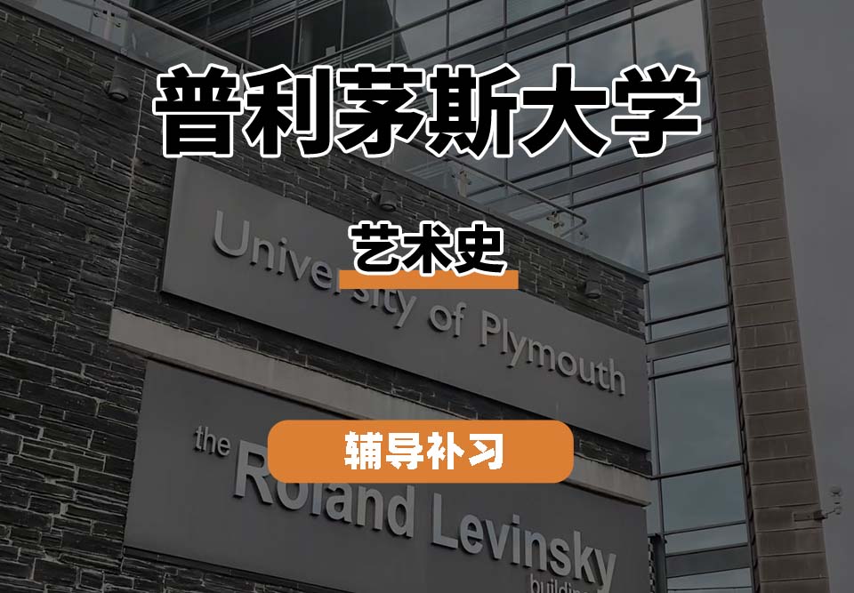 普利茅斯大学UOP艺术史专业辅导补习补课（一）