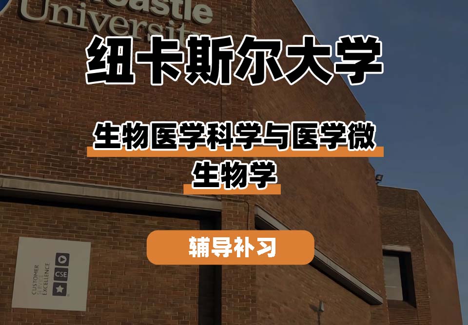 纽卡斯尔大学NCL纽大生物医学科学与医学微生物学辅导补习补课