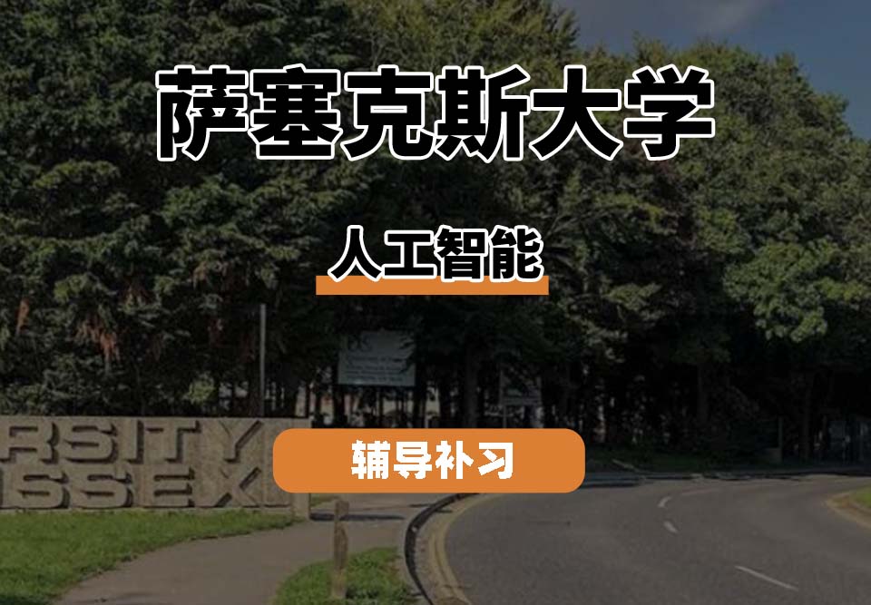 萨塞克斯大学Sussex萨大人工智能辅导补习补课
