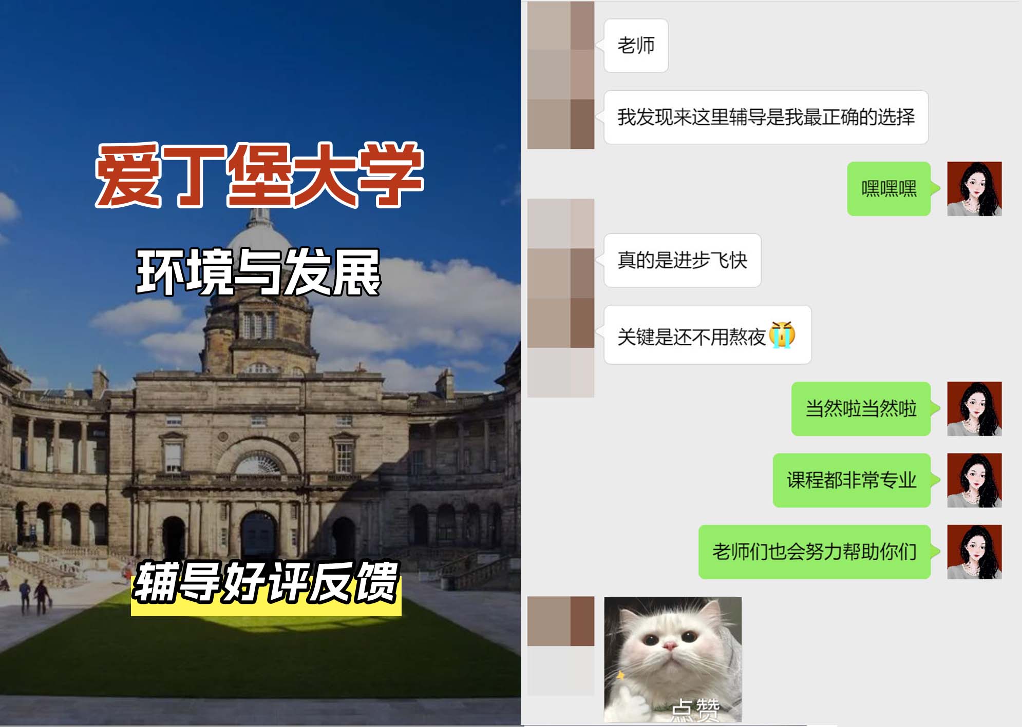 爱丁堡大学爱大环境与发展辅导好评反馈（三）