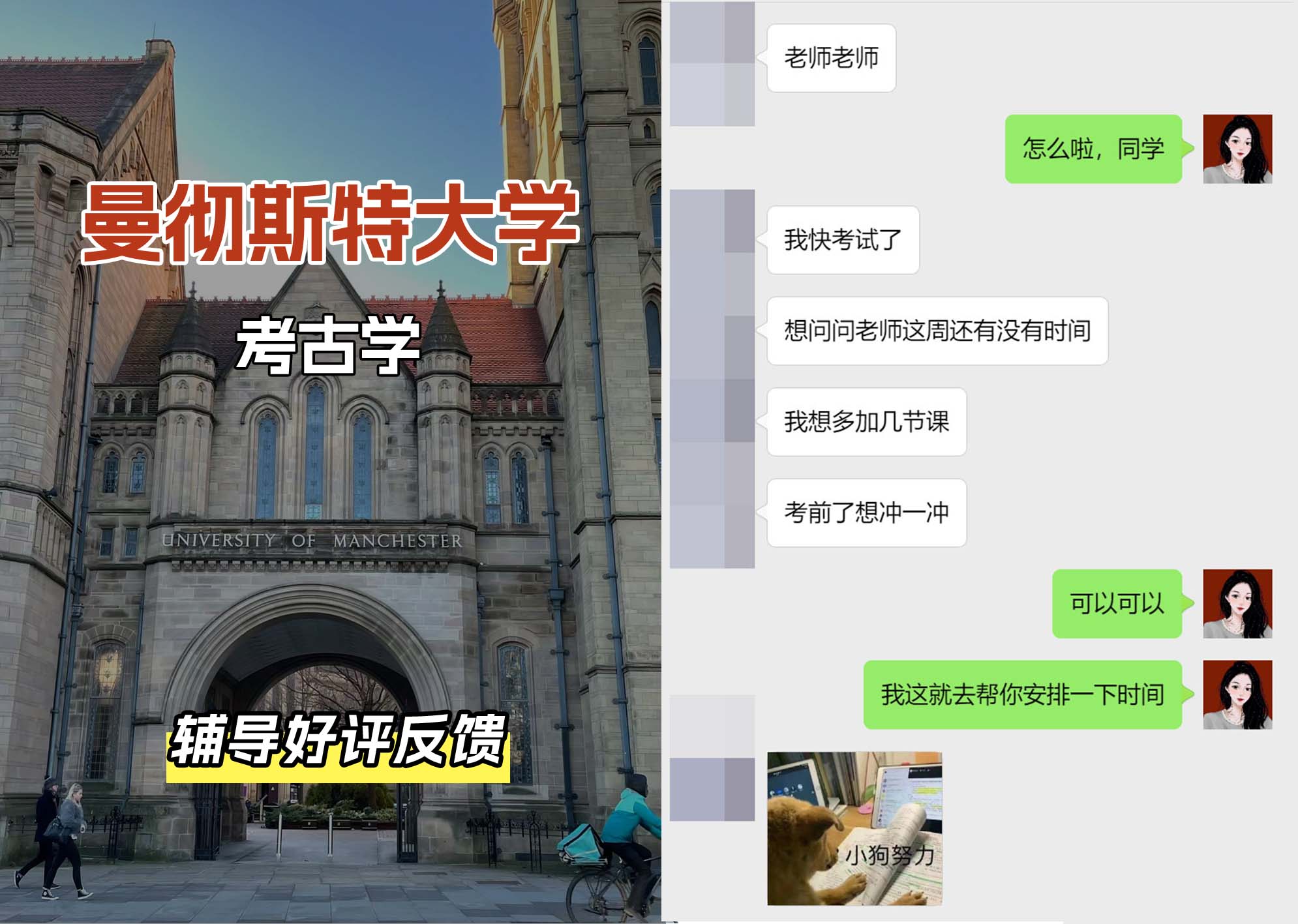 曼彻斯特大学曼大考古学辅导好评反馈（五）