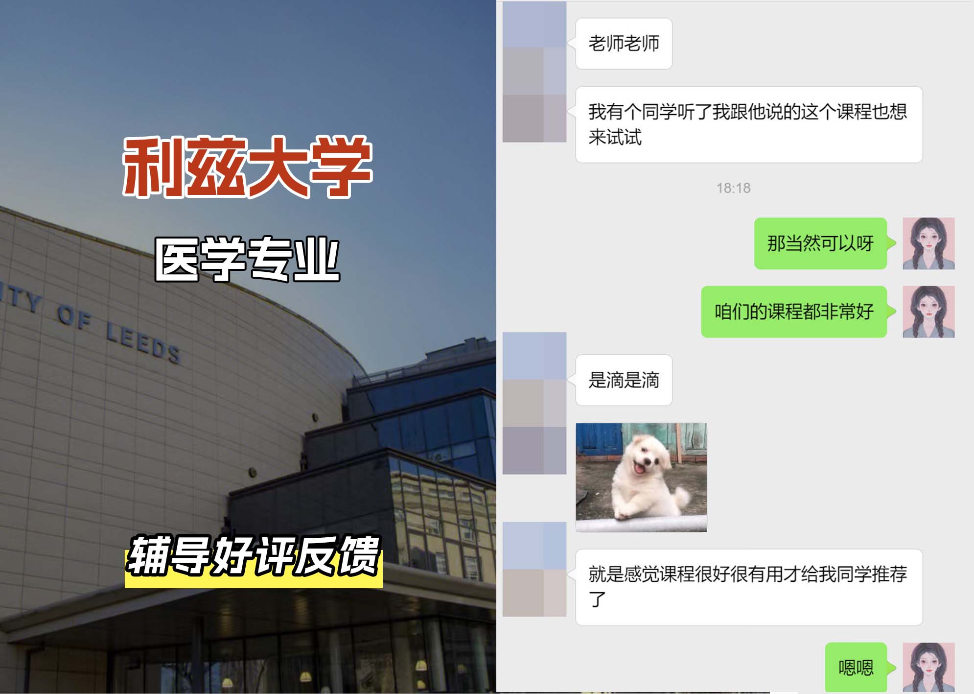 利兹大学leeds医学专业辅导好评反馈