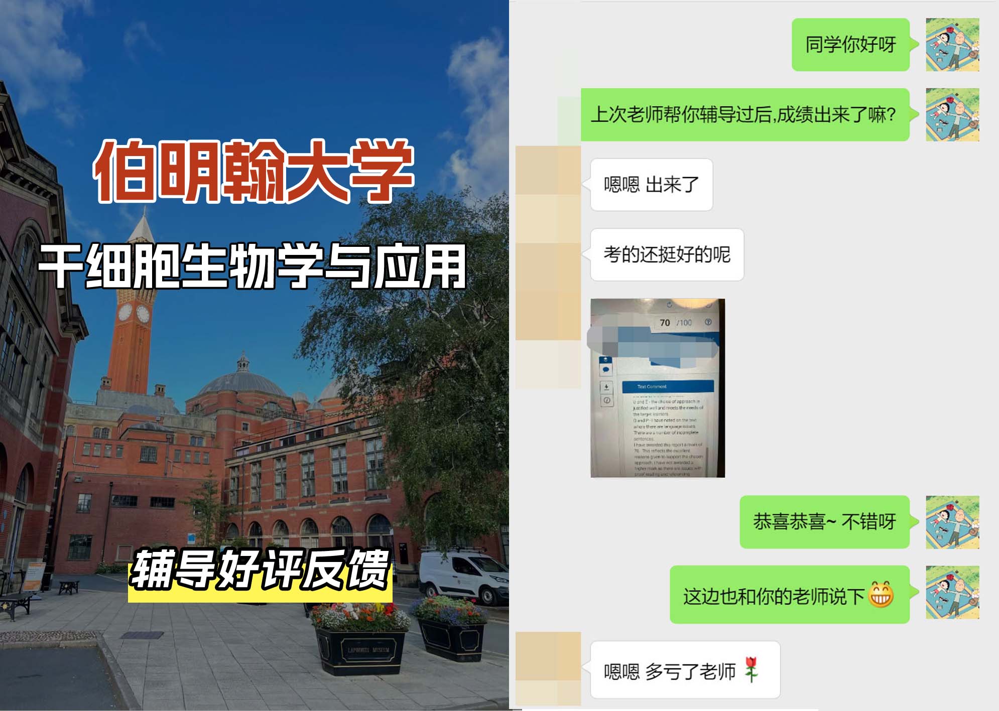 伯明翰大学伯大干细胞生物学与应用辅导好评反馈