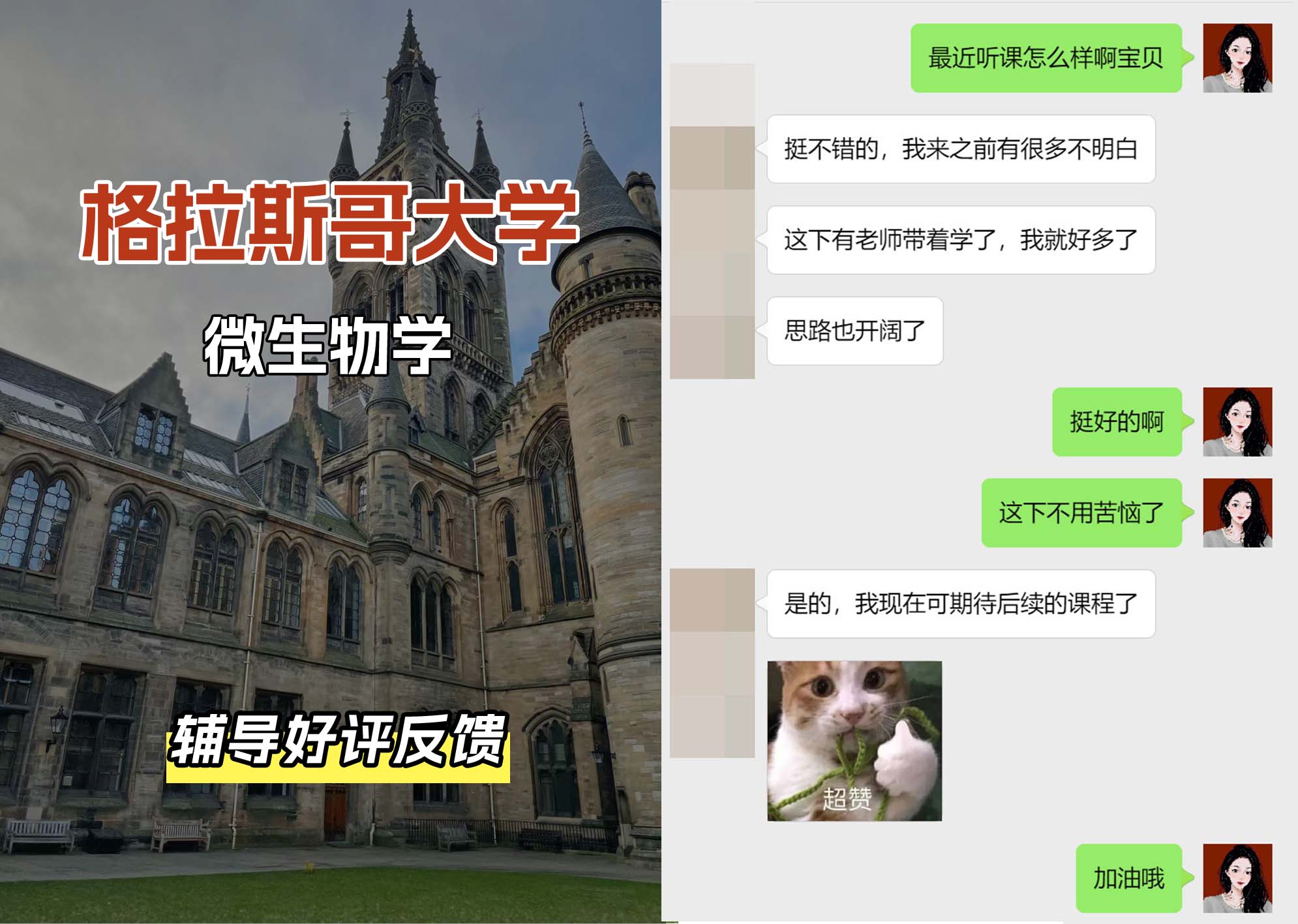 格拉斯哥大学格大微生物学辅导好评反馈