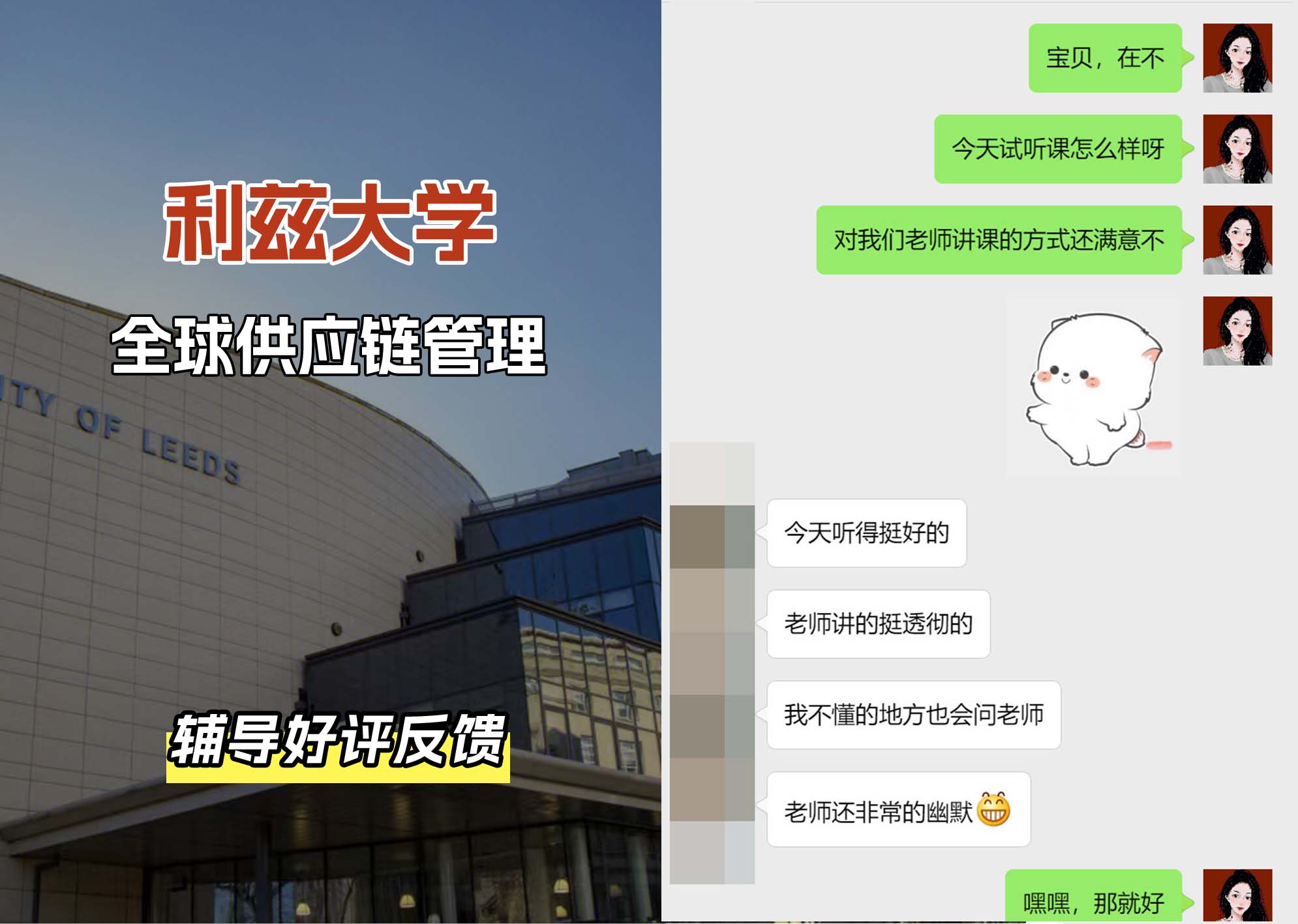利兹大学leeds全球供应链管理辅导好评反馈