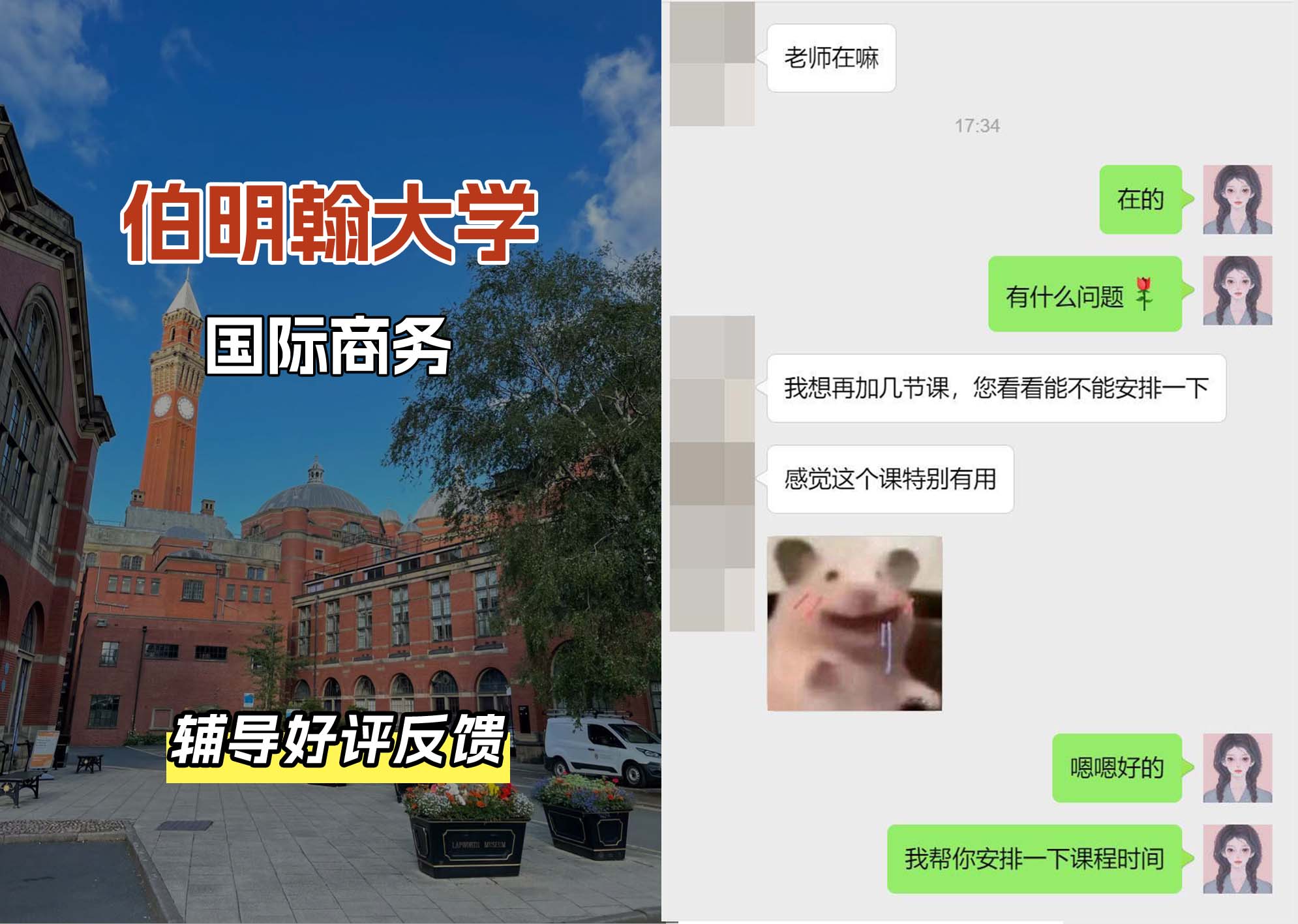 伯明翰大学伯大国际商务辅导好评反馈（一）