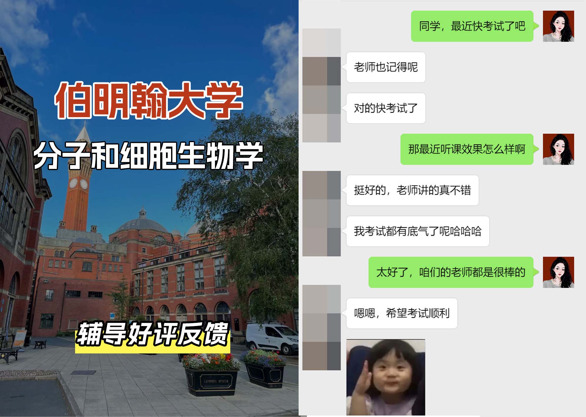 伯明翰大学伯大分子和细胞生物学辅导好评反馈