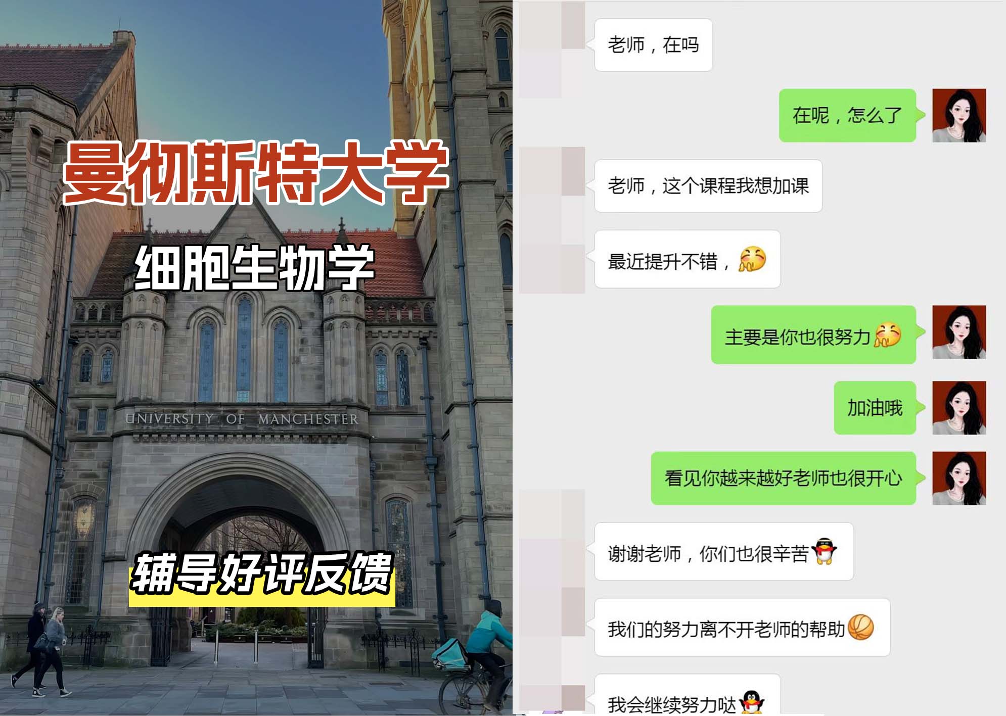 曼彻斯特大学曼大细胞生物学辅导好评反馈