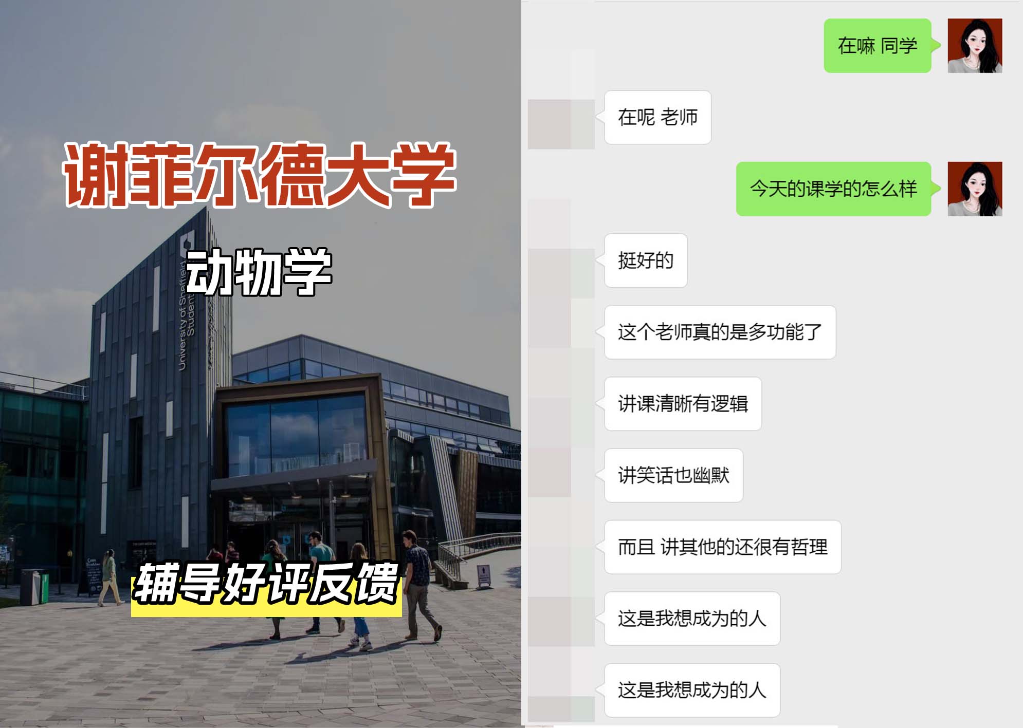 谢菲尔德大学谢大动物学辅导好评反馈（一）