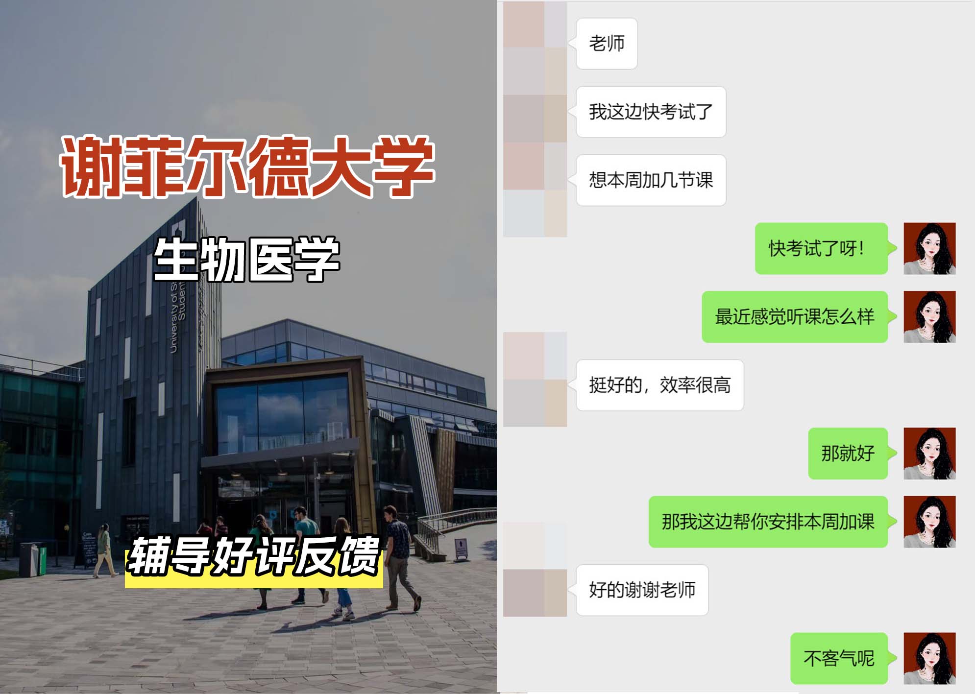 谢菲尔德大学谢大生物医学辅导好评反馈（二）