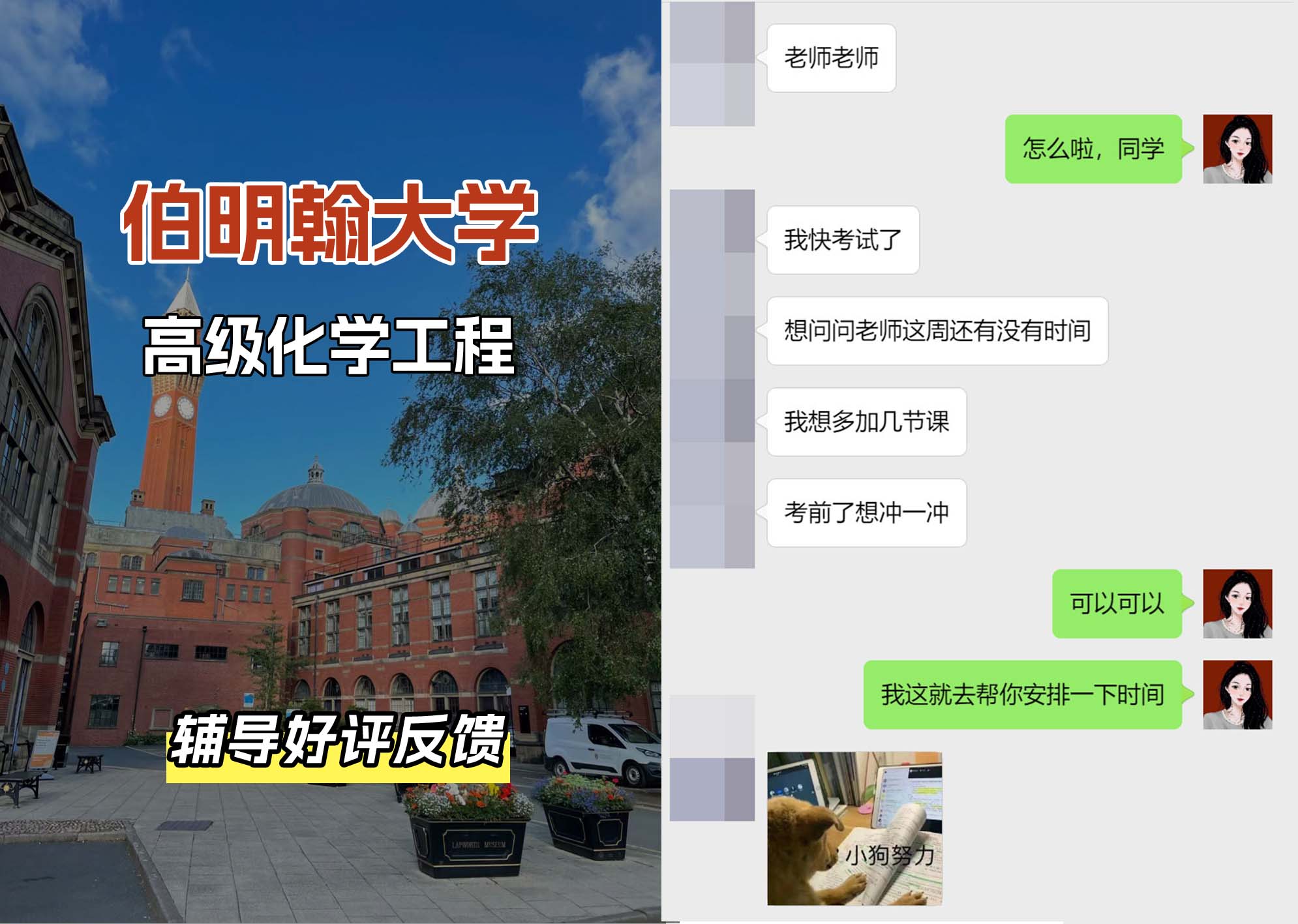 伯明翰大学伯大高级化学工程辅导好评反馈（二）