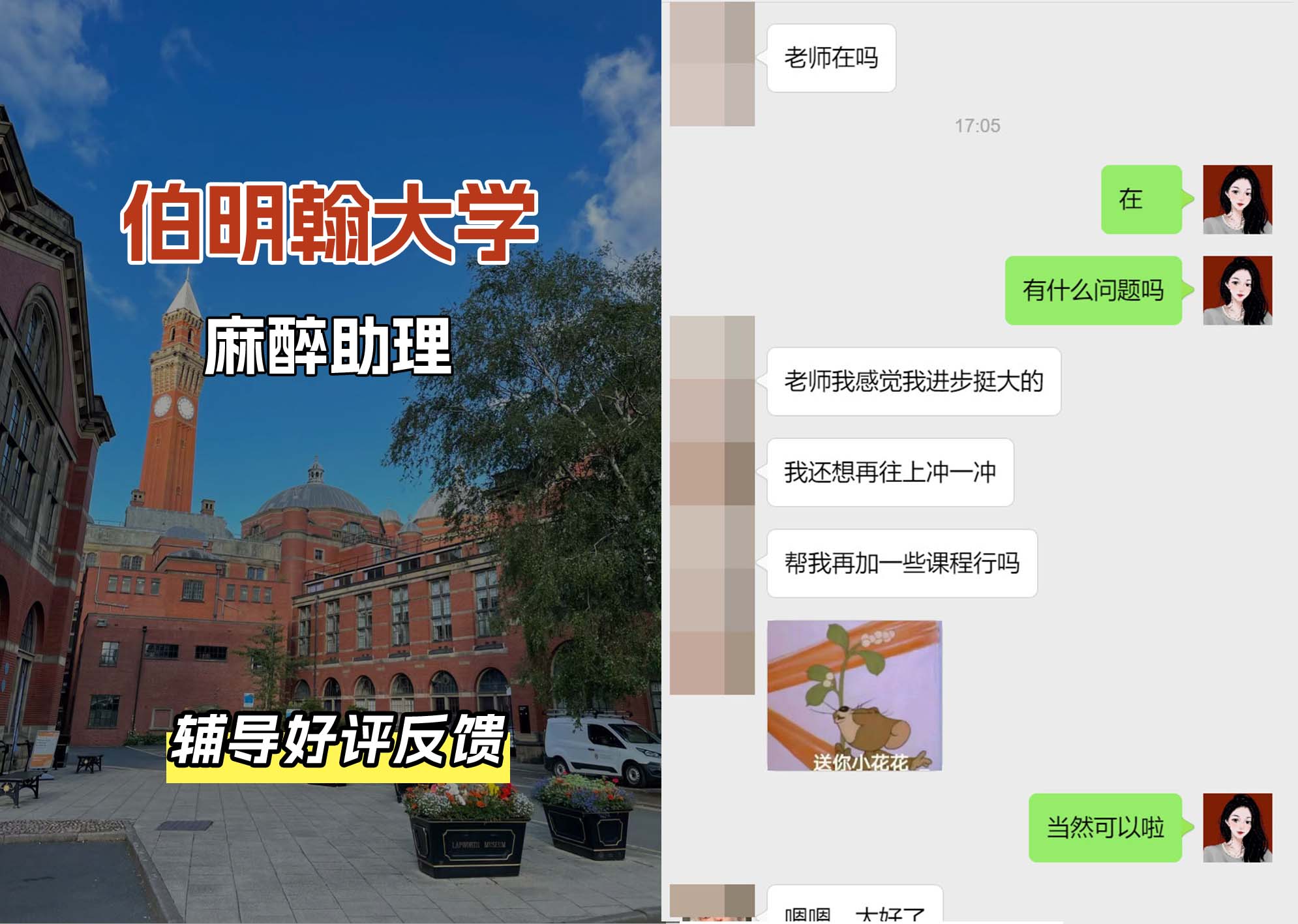 伯明翰大学伯大麻醉助理辅导好评反馈（一）