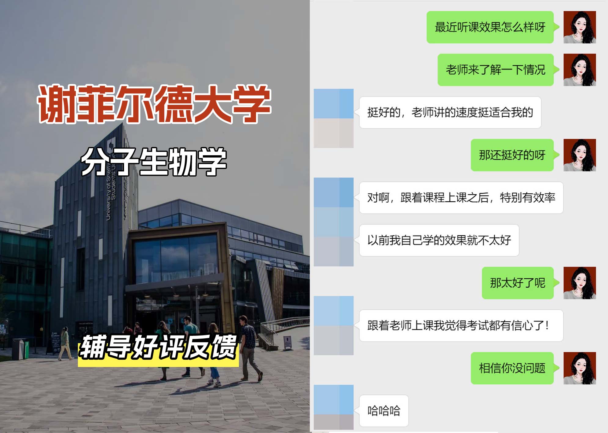 谢菲尔德大学谢大分子生物学辅导好评反馈（三）