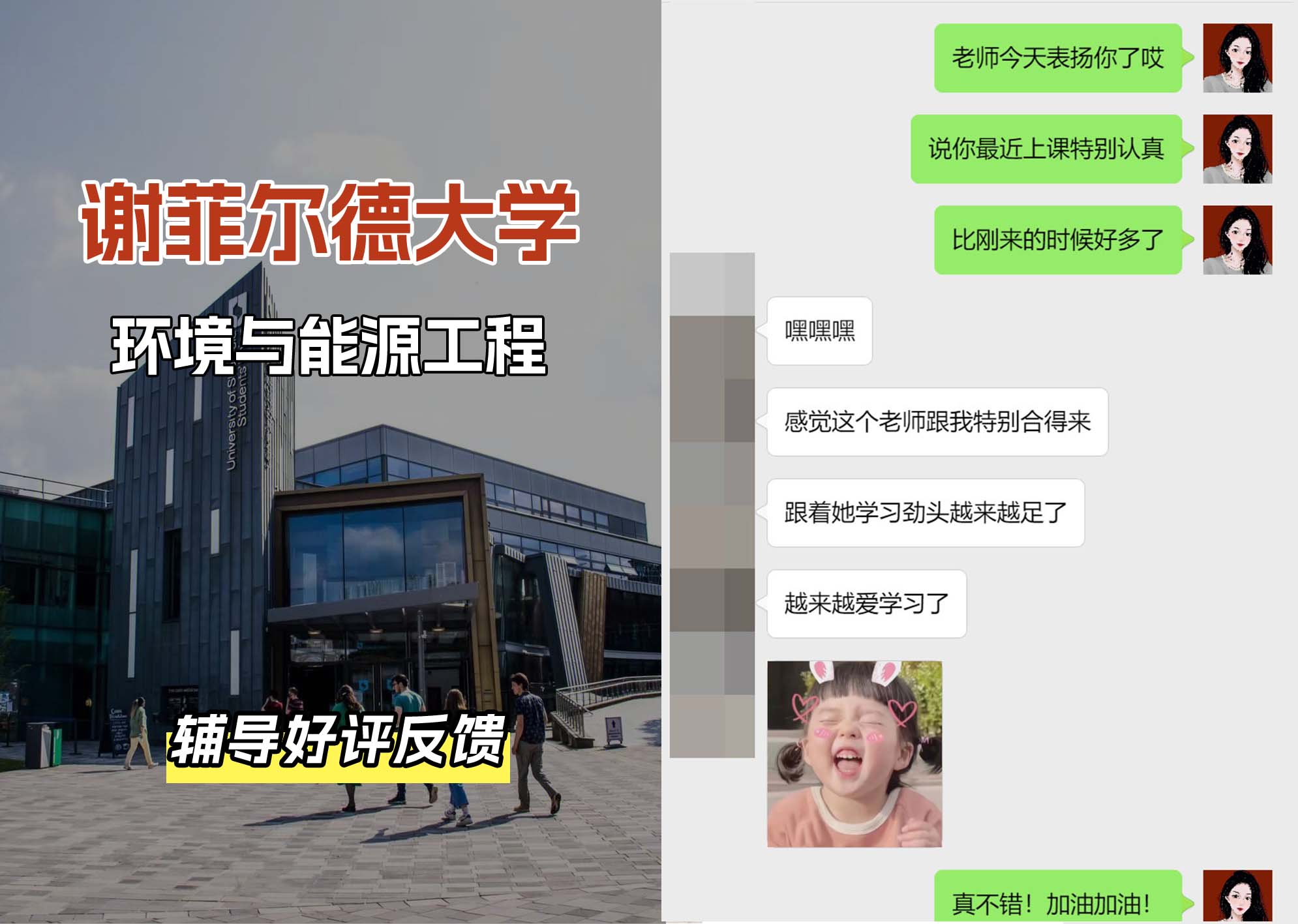 谢菲尔德大学谢大环境与能源工程辅导好评反馈