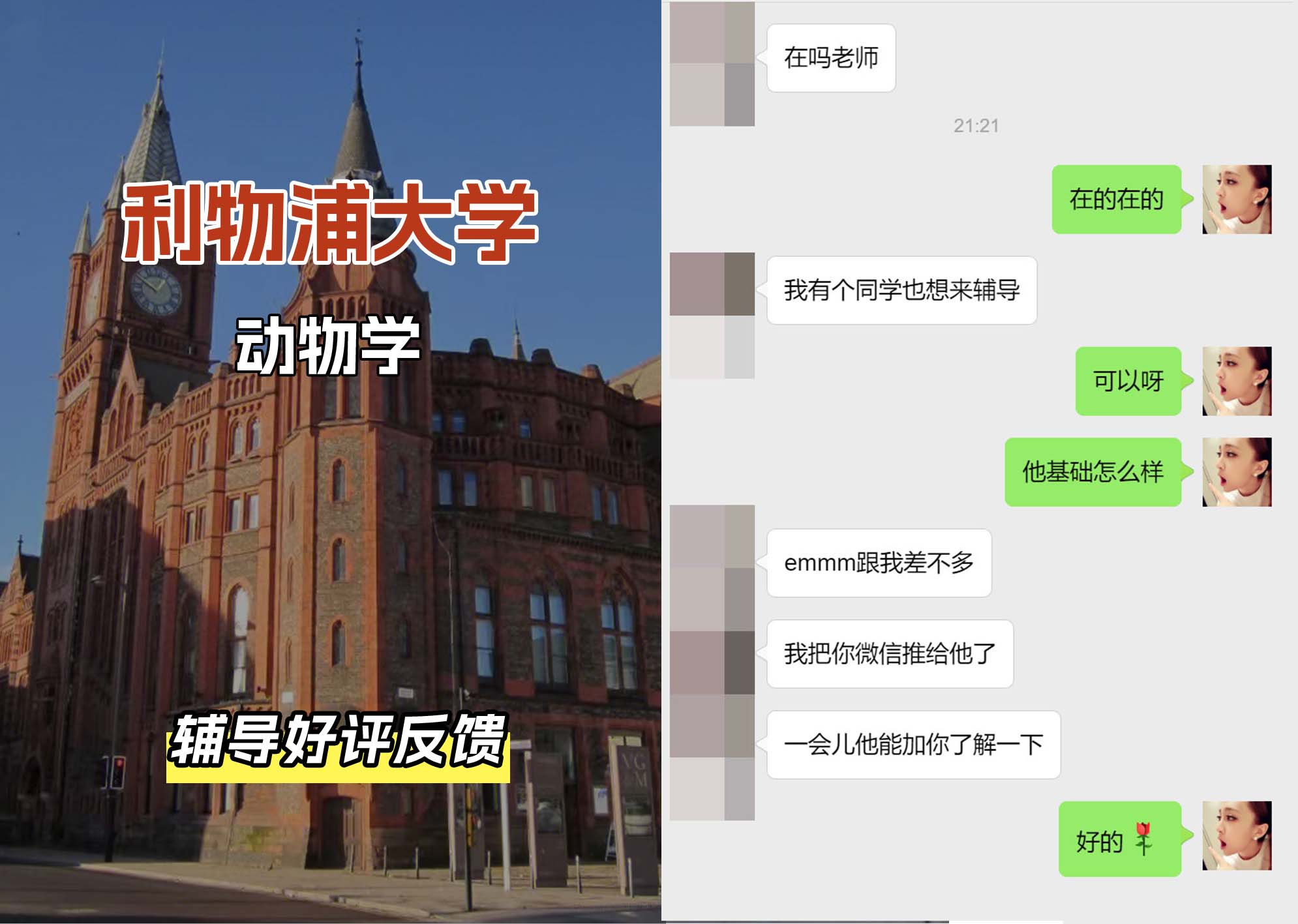 利物浦大学利大动物学辅导好评反馈（一）