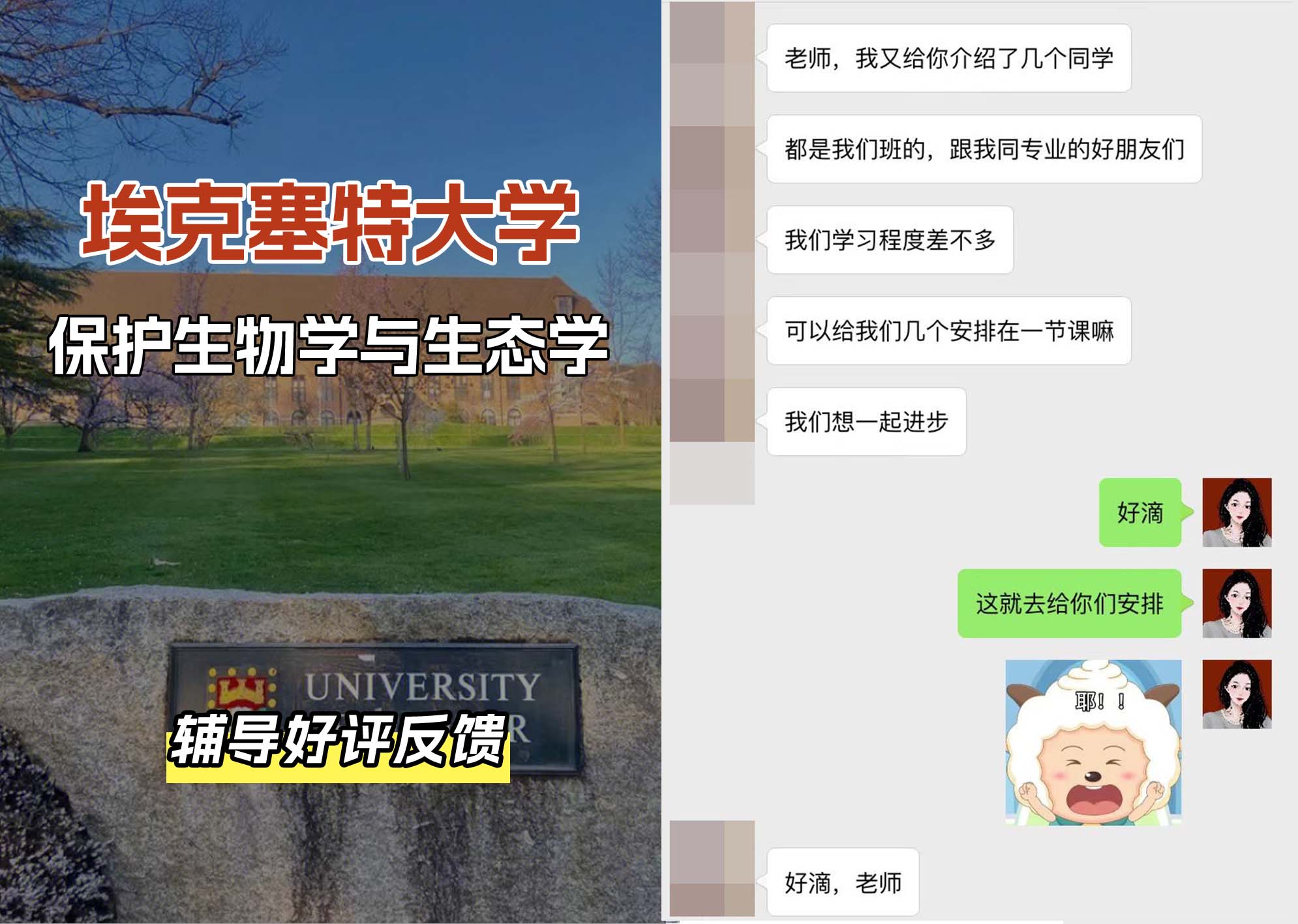 埃大埃克塞特大学保护生物学与生态学辅导好评反馈（一）