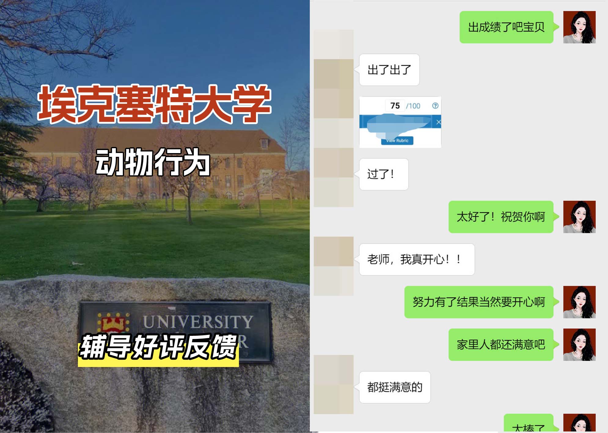 埃大埃克塞特大学动物行为辅导好评反馈（三）