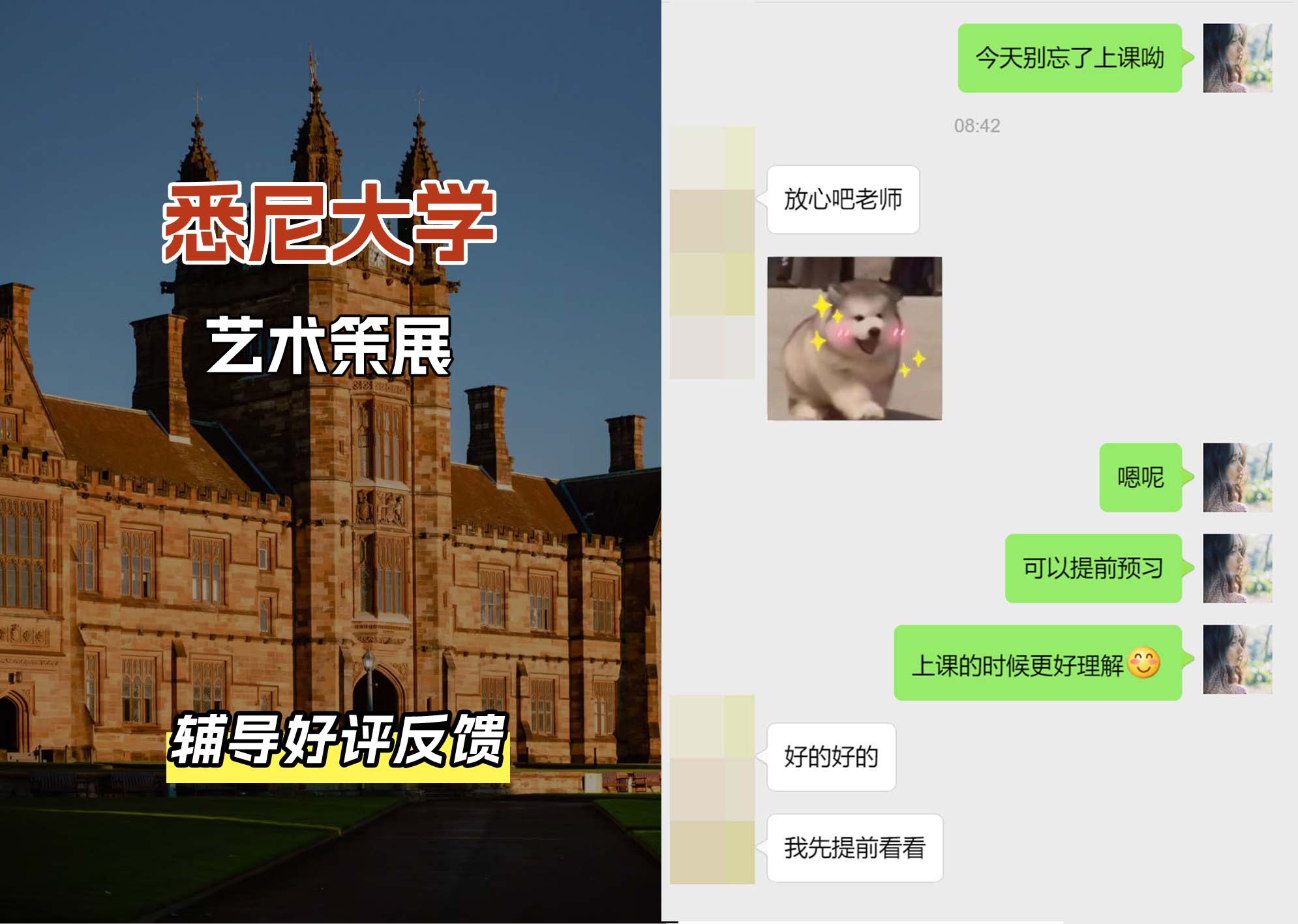 悉尼大学USYD艺术策展辅导好评反馈（一）