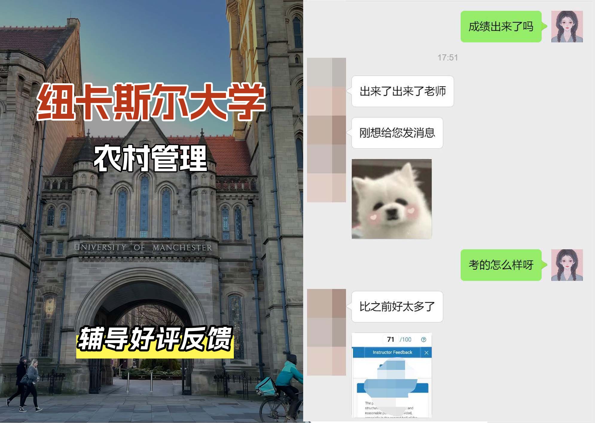 纽卡斯尔大学纽大农村管理辅导好评反馈（一）