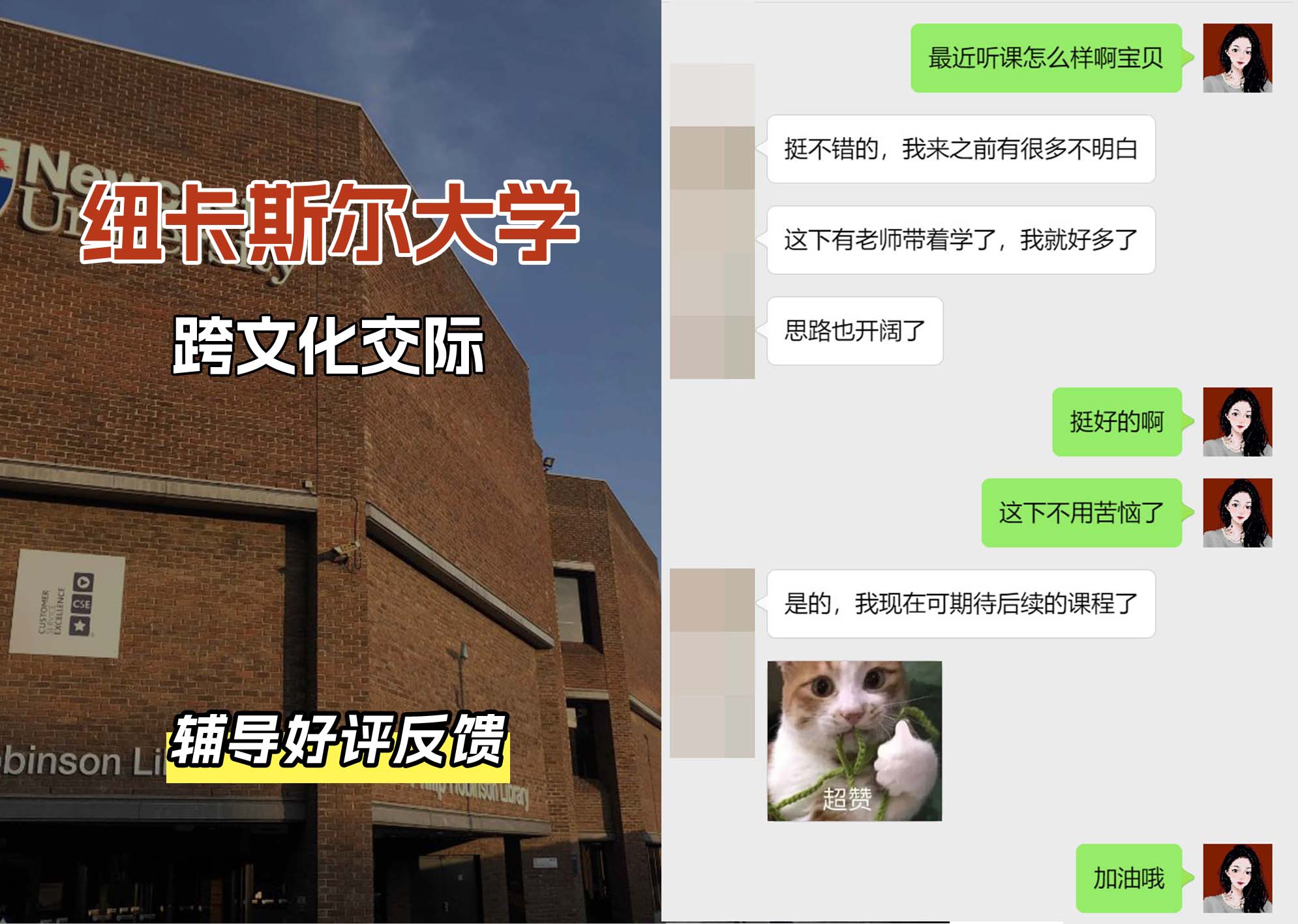 纽卡斯尔大学纽大跨文化交际辅导好评反馈