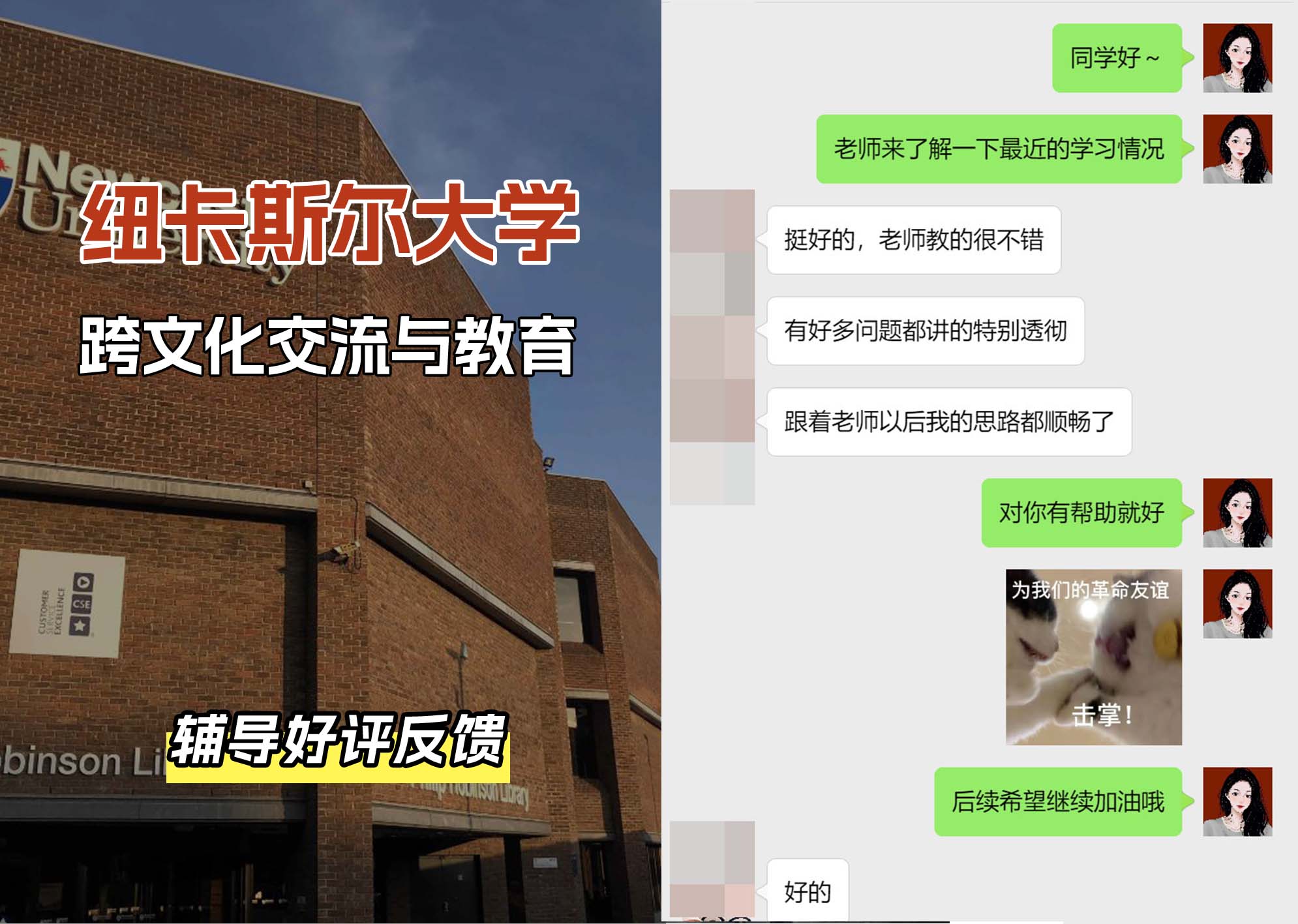 纽卡斯尔大学纽大跨文化交流与教育辅导好评反馈（一）