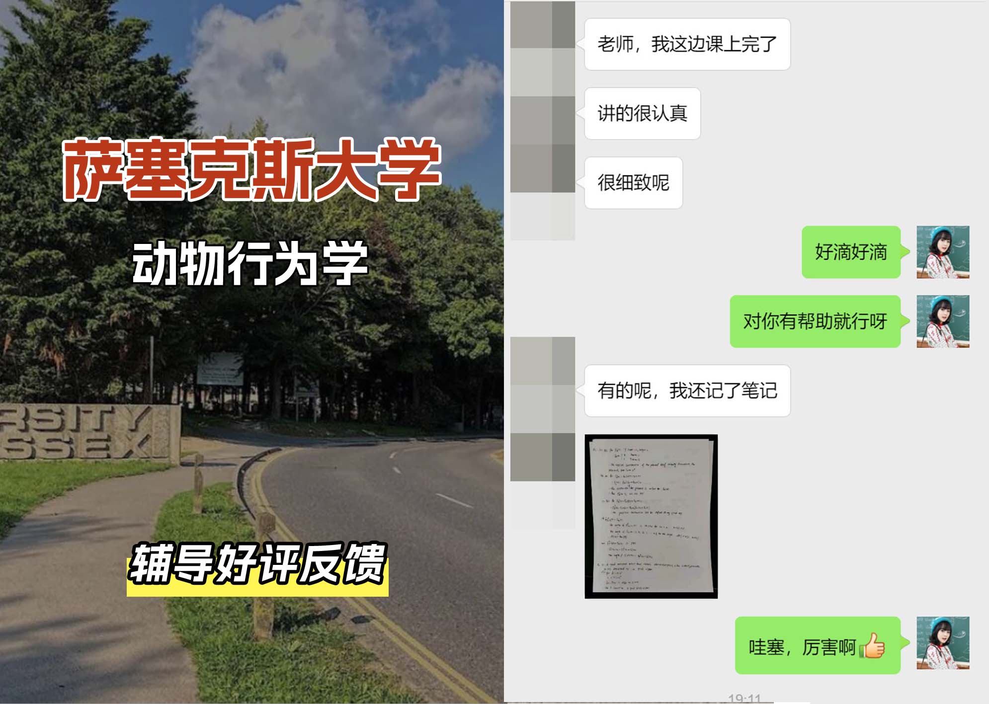 Sussex萨塞克斯大学动物行为学辅导好评反馈（一）