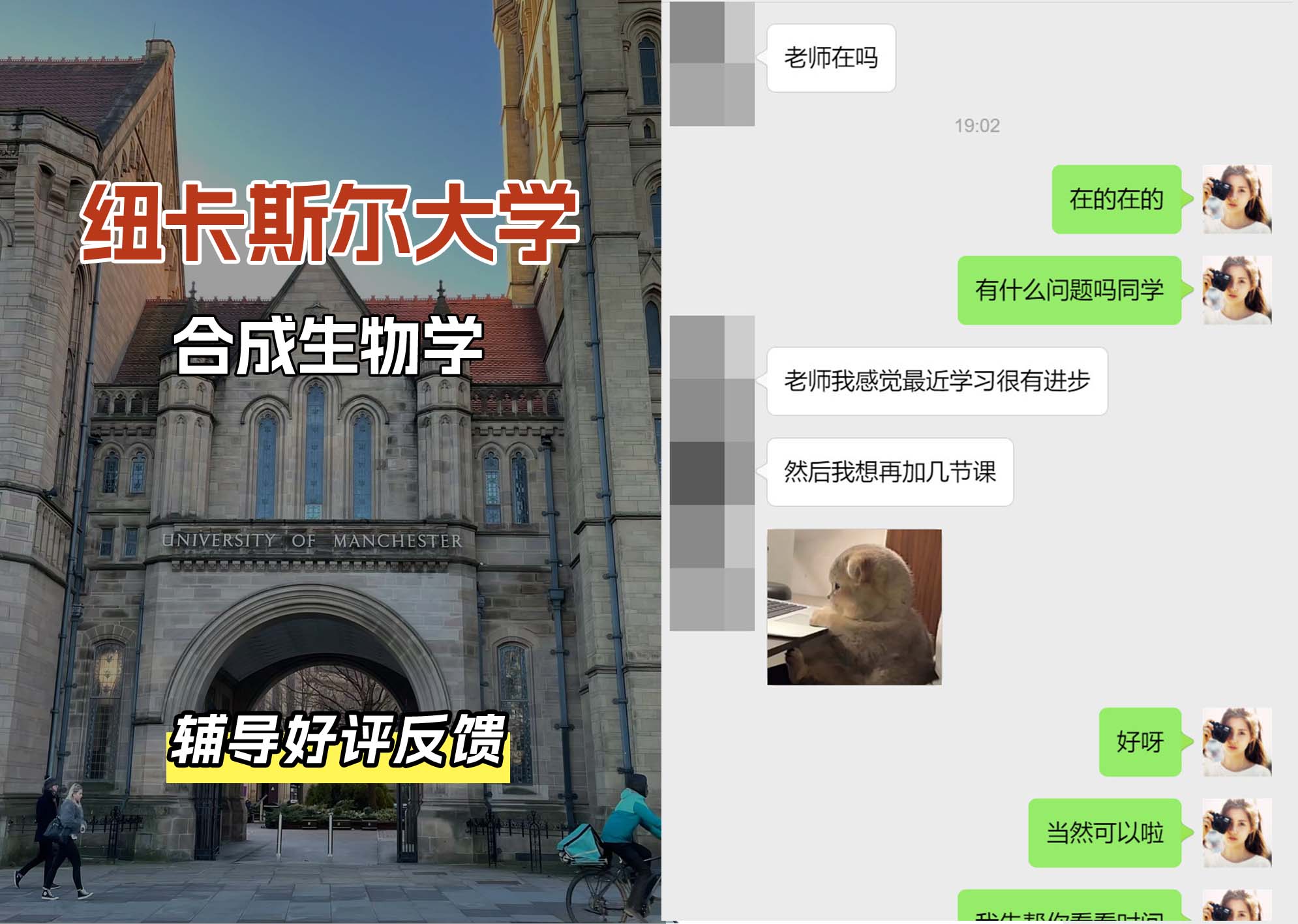 纽卡斯尔大学纽大合成生物学辅导好评反馈