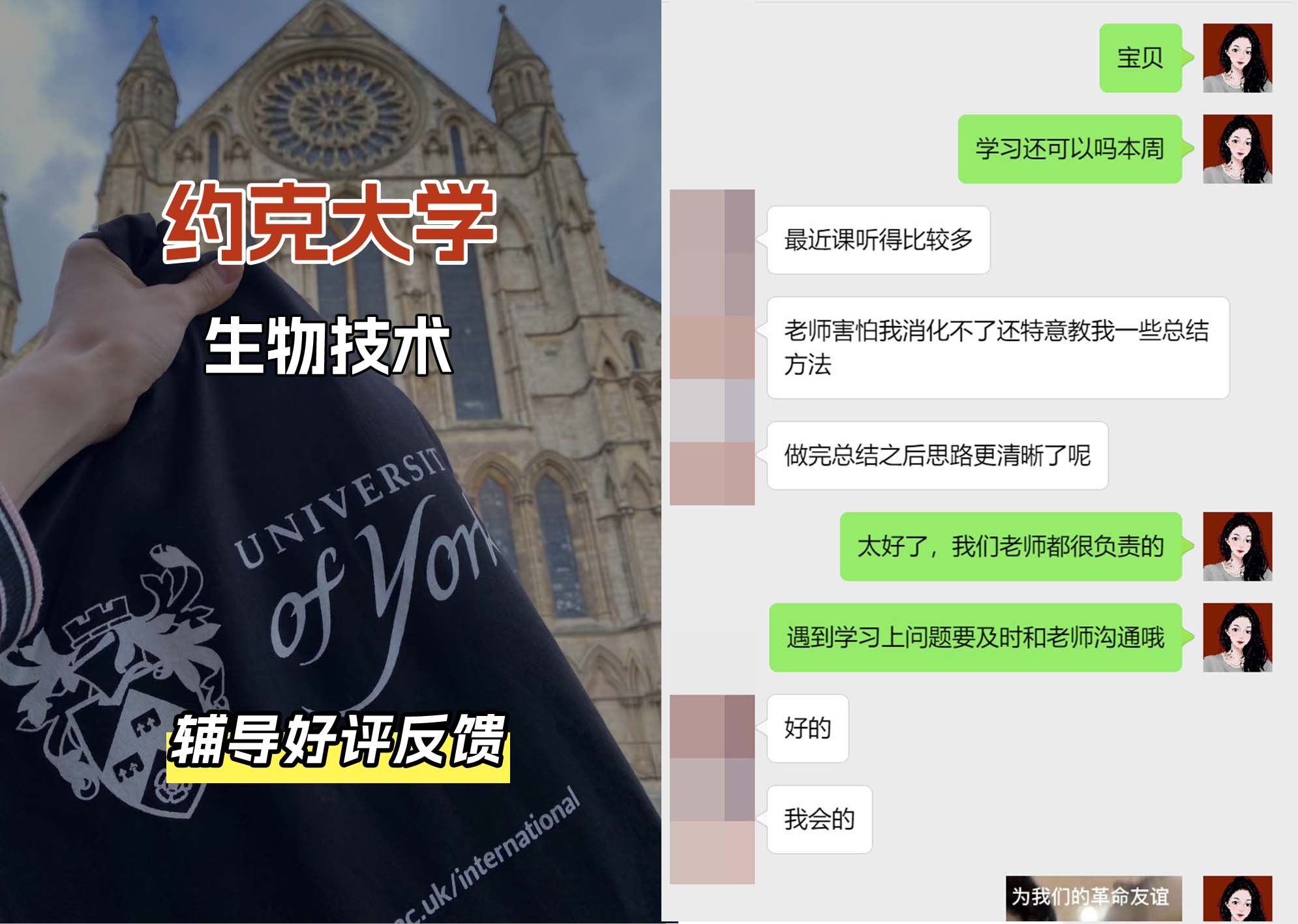 约克大学UOY生物技术辅导好评反馈