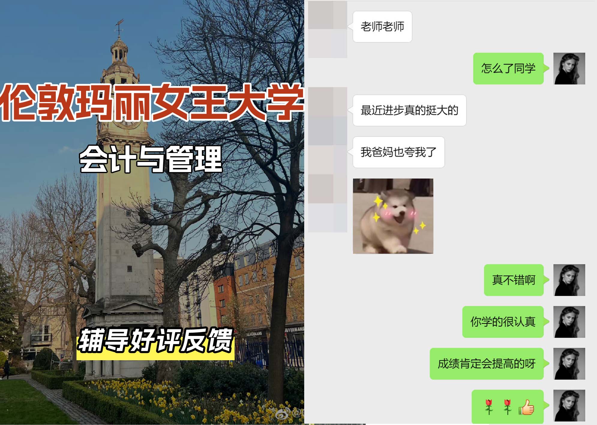 QM女王大学会计与管理辅导好评反馈