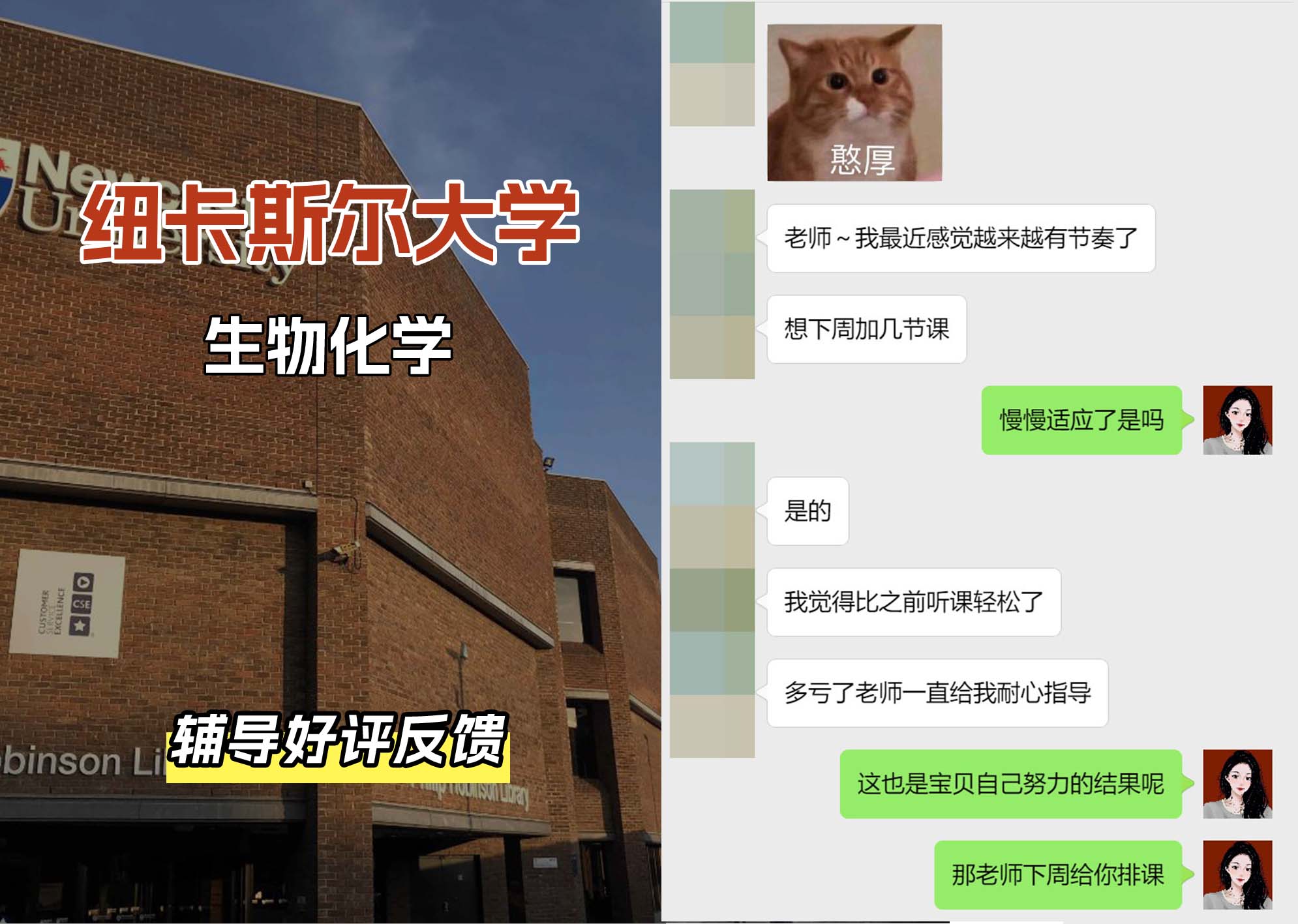 纽卡斯尔大学纽大生物化学辅导好评反馈（一）