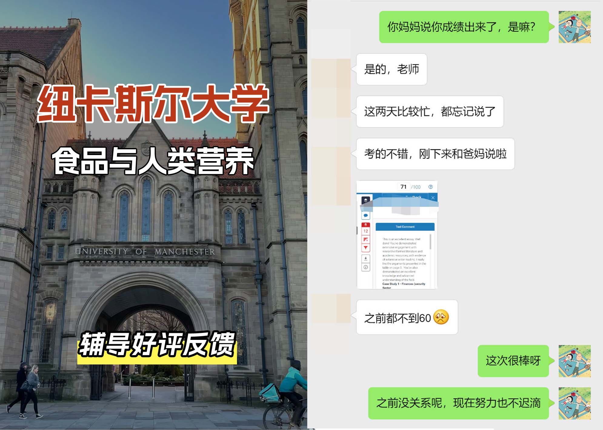 纽卡斯尔大学纽大食品与人类营养辅导好评反馈