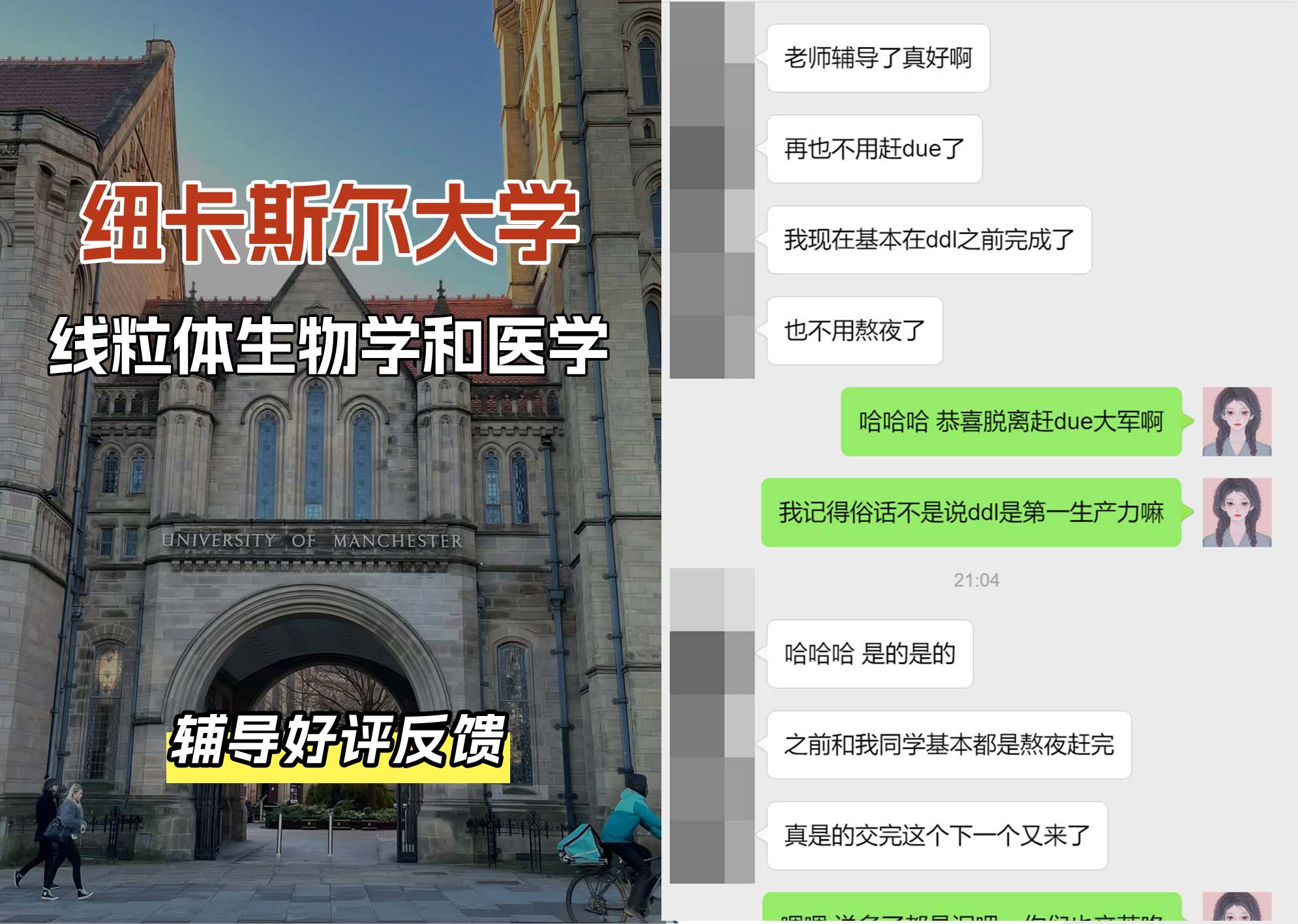 纽卡斯尔大学纽大线粒体生物学和医学辅导好评反馈（一）