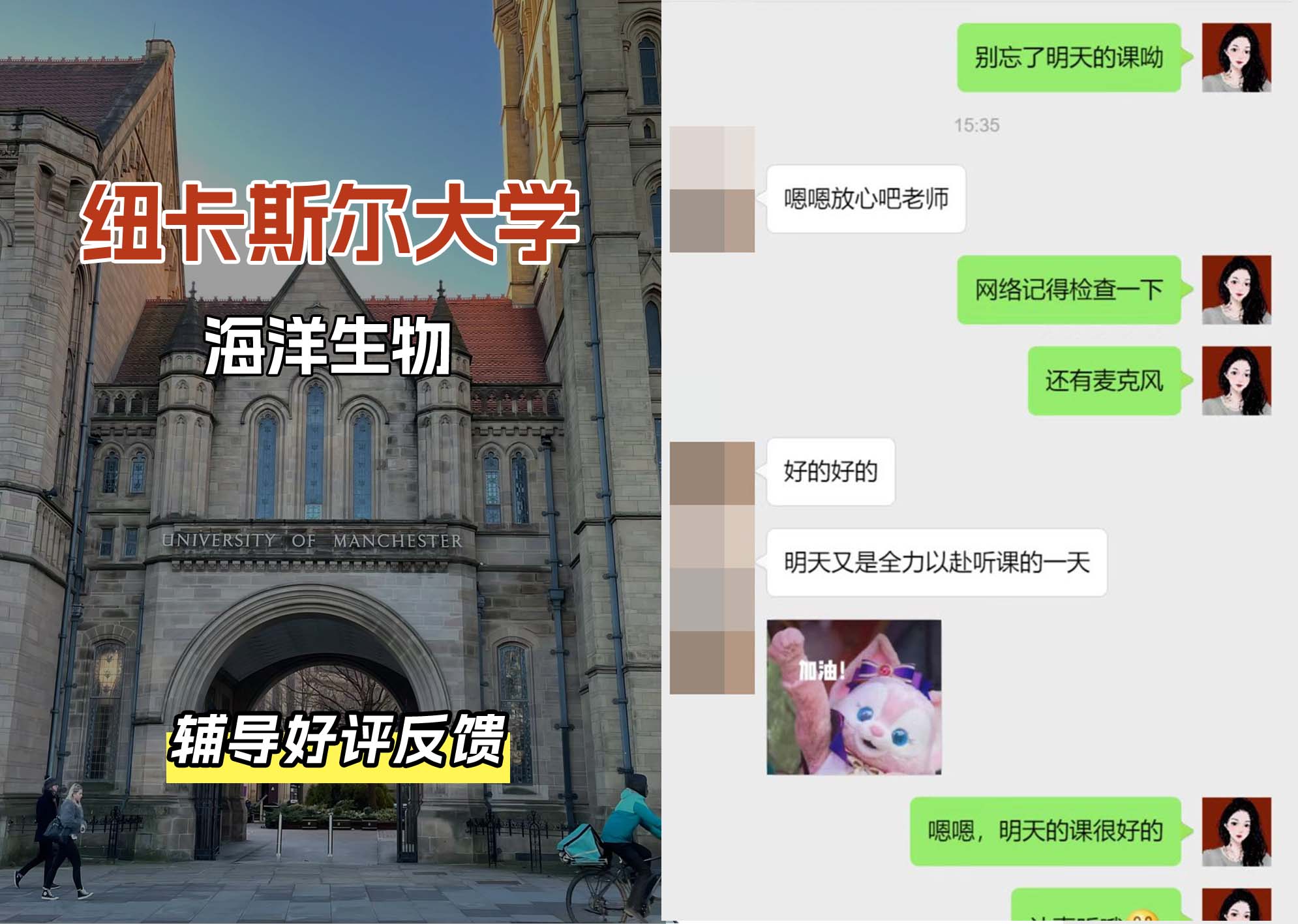 纽卡斯尔大学纽大海洋生物辅导好评反馈（一）