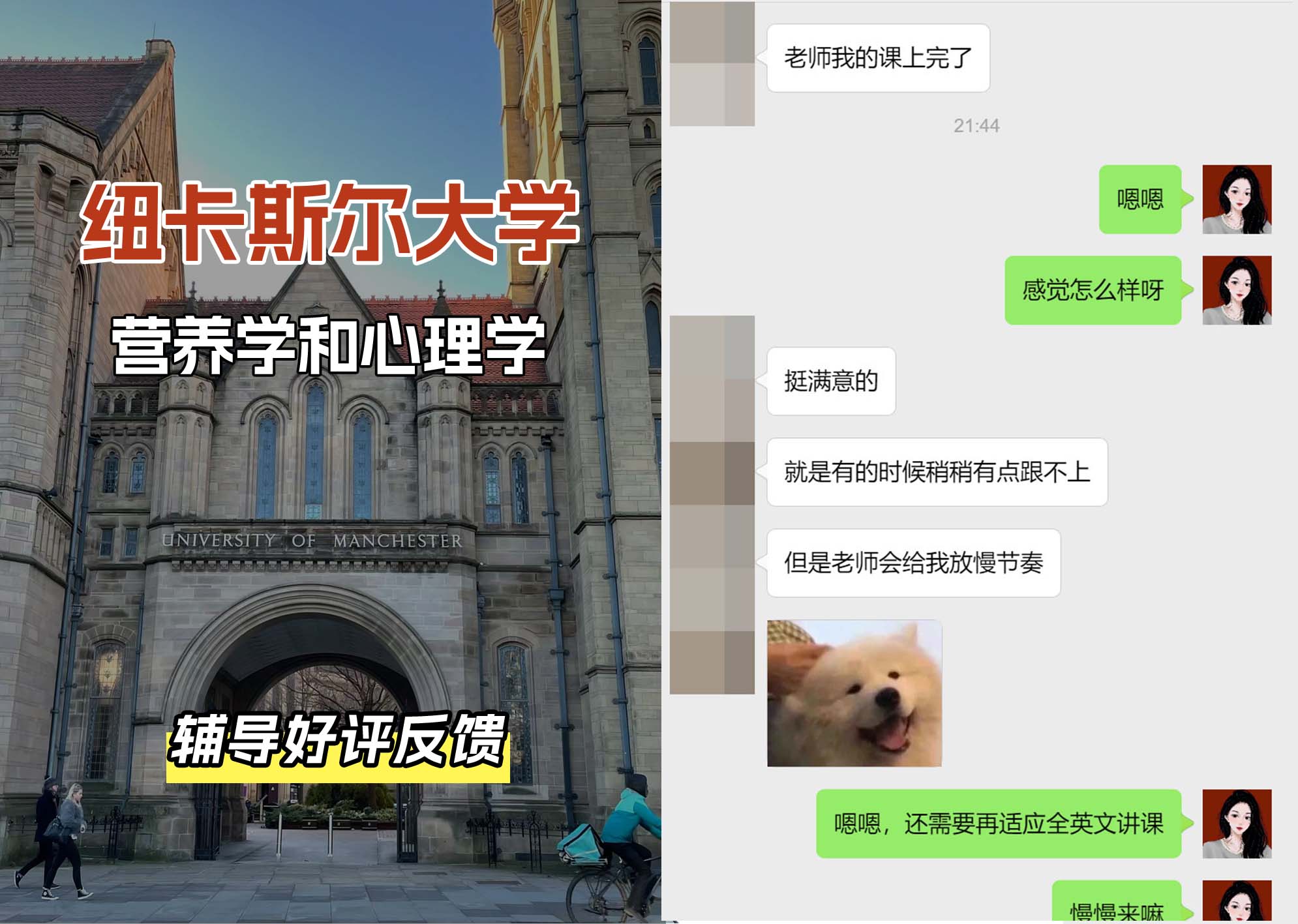 纽卡斯尔大学纽大营养学和心理学辅导好评反馈（一）