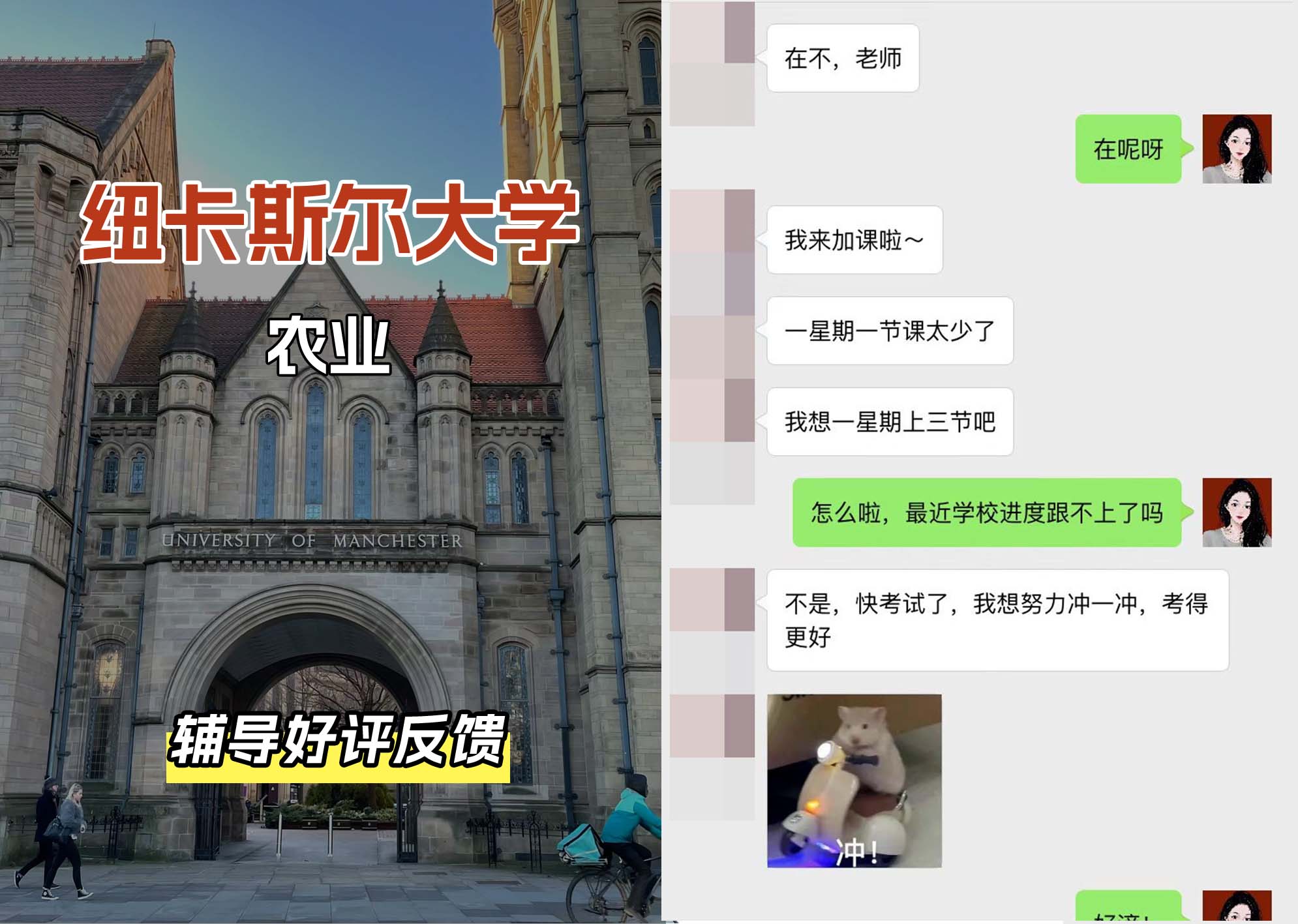 纽卡斯尔大学纽大农业辅导好评反馈（一）