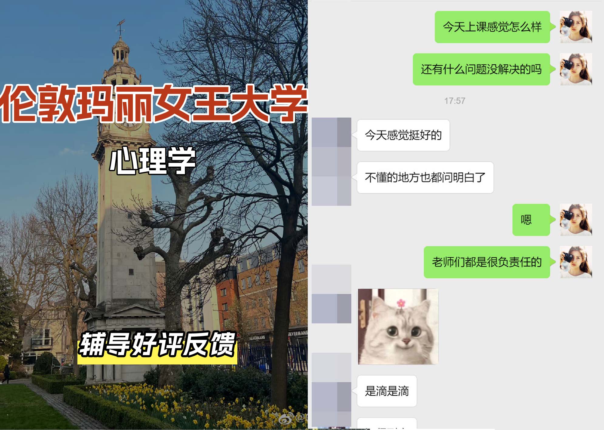 QM女王大学心理学辅导好评反馈（一）