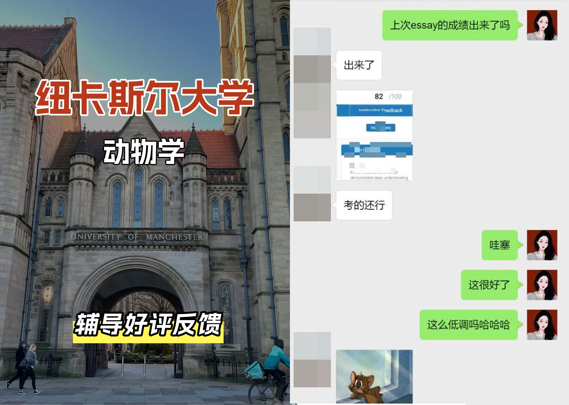 纽卡斯尔大学纽大动物学辅导好评反馈（三）