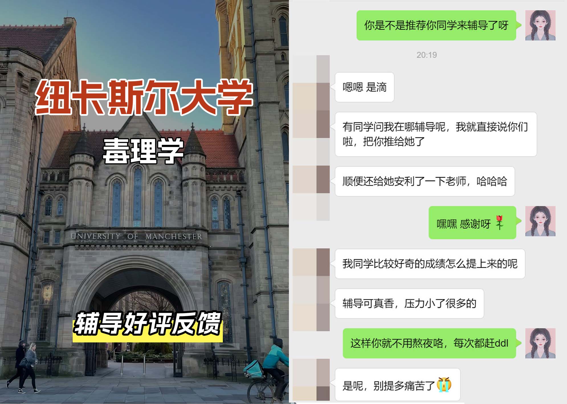 纽卡斯尔大学纽大毒理学辅导好评反馈（一）