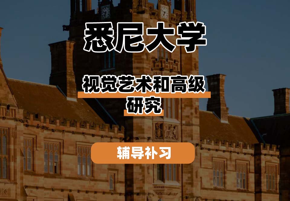 悉尼大学USYD悉大视觉艺术和高级研究辅导补习补课